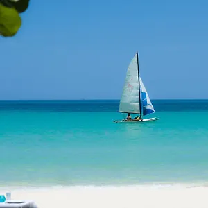 Secret At Firefly Negril